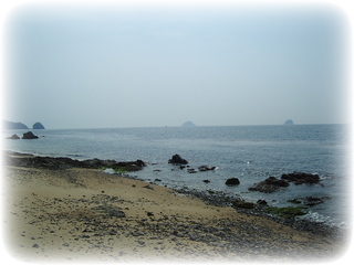 国産島ひじきの産地、愛媛県松山市中島の海